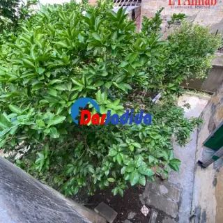Vente Villa à Saint cloud Annaba — photo 3