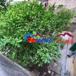Vente Villa à Saint cloud Annaba — photo 4