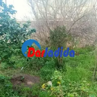Vente Villa Skikda — photo 3