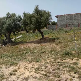 Terrain à vendre — photo 2