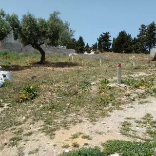 Terrain à vendre — photo 3
