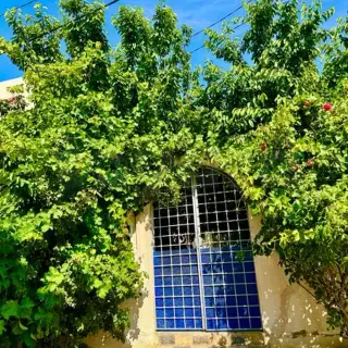 Villa à vendre — photo 2