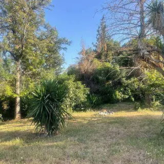 Location Villa S+4 A Mutuelleville — photo 2