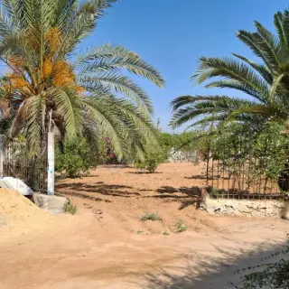 Grond te Koop - Sfax, Tunesië | Dari.ovh