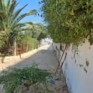 Terrain Rte Sidi Mansour — photo 2