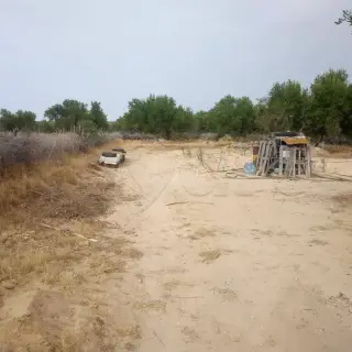 للبيع ارض فلاحية ( غرس) à vendre Terrain agricole (planté) — photo 5