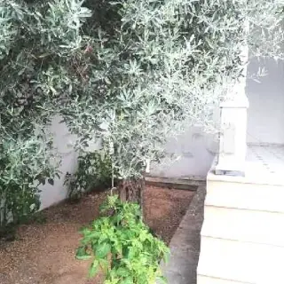 À ne pas rater — photo 2