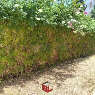 À louer S2 Meublé avec Jardin à Sidi Daoud — photo 2