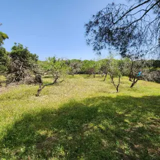 Terreno Agrícola en Venta en Ras Jebel, Bizerte