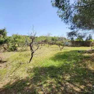 Terrain agricole Ras Jebel — photo 3