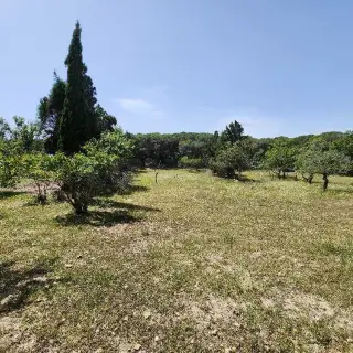Terrain agricole Ras Jebel — photo 5