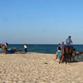 Opportunité À Ne Pas Manquer Terrain 450 M² À Hammamet Sud — photo 3