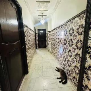 À vendre villa s7 à menzah 9 — photo 2