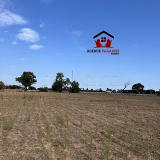0pportunité D'investissement Terrain Sur La Route