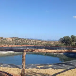 Terrain Agricole Zaghouan — photo 2