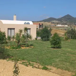 Terrain Agricole Zaghouan — photo 5