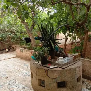 ارض للبيع وسط مدينة وهران boulanger — photo 2