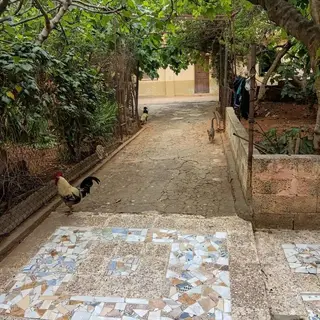 ارض للبيع وسط مدينة وهران boulanger — photo 4