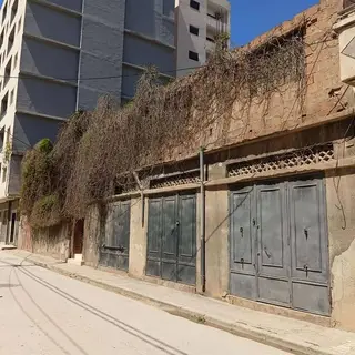 ارض للبيع وسط مدينة وهران boulanger — photo 5