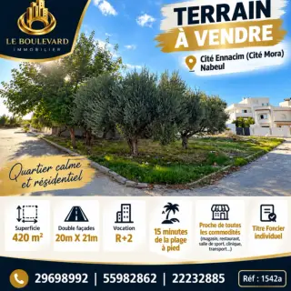 Terrain viabilisé de 420 m² à Cité Ennacim (Cité Mora), Nabeul