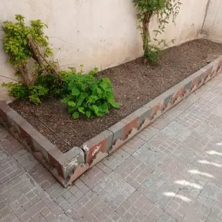 Duplex S+4 avec jardin, grande terrasse et deux accès à El Ouardia 4 — photo 4